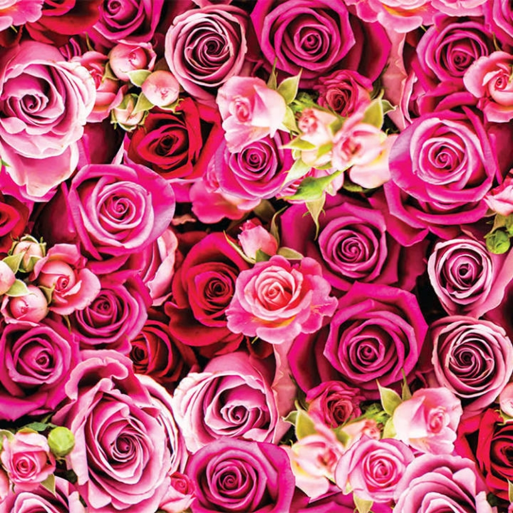 Meet your Posher, Talasia